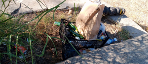 TEMİZ BİR BODRUM İÇİN DUYARLILIĞA DAVET