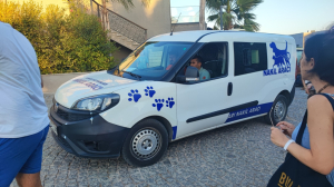 YANGINDA KURTARILAN KAPLUMBAĞALAR TEDAVİ EDİLİYOR