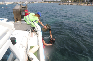 6 GÜNDE BİN 417 KİLOGRAM ATIK TOPLANDI