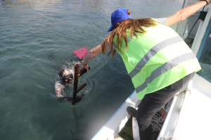 6 GÜNDE BİN 417 KİLOGRAM ATIK TOPLANDI