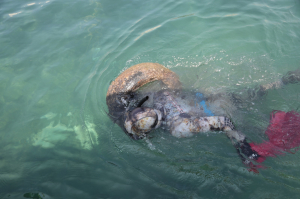 6 GÜNDE BİN 417 KİLOGRAM ATIK TOPLANDI