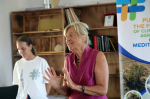 GARAOVADA FRONTAG NEXUS PROJESİ TANITIMI