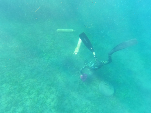 KADIKALESİ VE AKYARLARDA DENİZ DİBİ TEMİZLİĞİ