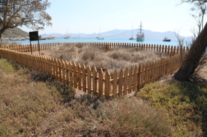 KUM ZAMBAĞI FARKINDALIK ETKİNLİĞİ