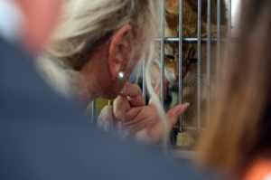 AJDA PEKKAN’DAN BELEDİYE BAKIM MERKEZİNE ZİYARET