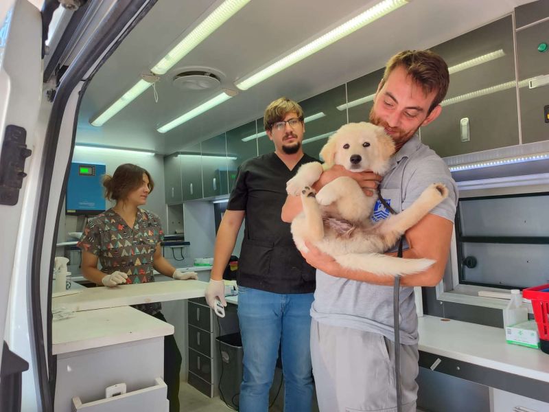 SOKAK HAYVANLARINA YÖNELİK ÇALIŞMALAR SÜRÜYOR