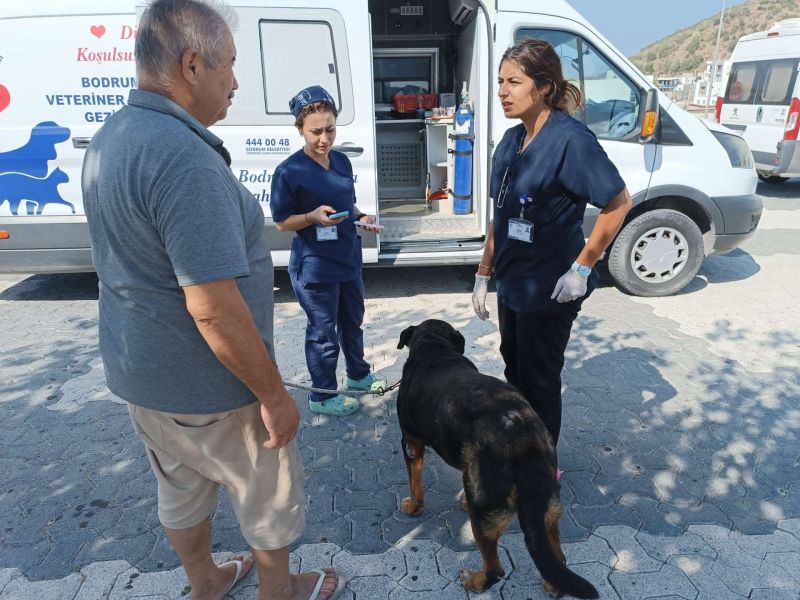 SOKAK HAYVANLARINA YÖNELİK ÇALIŞMALAR SÜRÜYOR