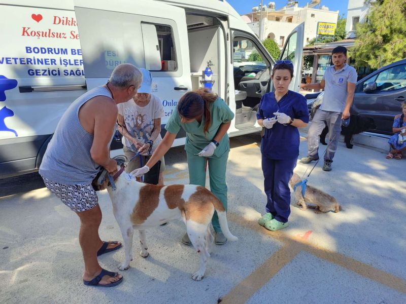 SOKAK HAYVANLARINA YÖNELİK ÇALIŞMALAR SÜRÜYOR