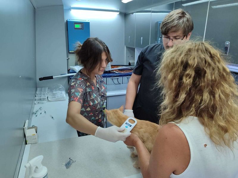 SOKAK HAYVANLARINA YÖNELİK ÇALIŞMALAR SÜRÜYOR