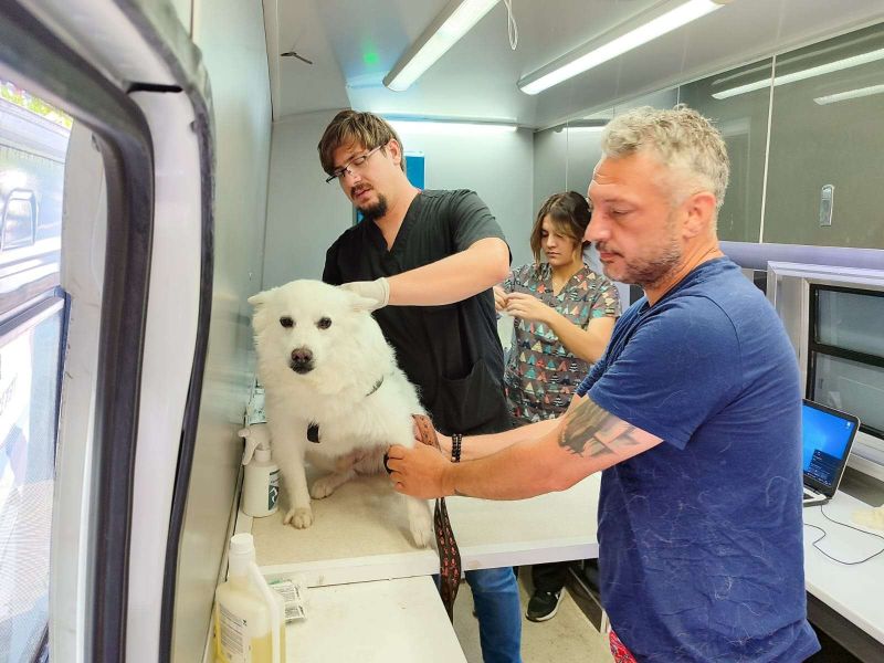 SOKAK HAYVANLARINA YÖNELİK ÇALIŞMALAR SÜRÜYOR