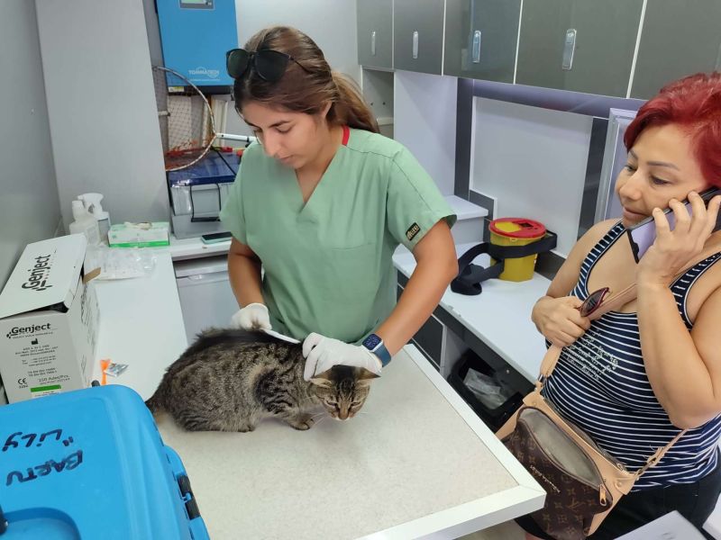 SOKAK HAYVANLARINA YÖNELİK ÇALIŞMALAR SÜRÜYOR