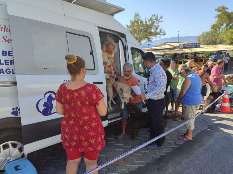 SOKAK HAYVANLARINA YÖNELİK ÇALIŞMALAR SÜRÜYOR