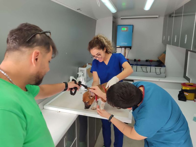 SOKAK HAYVANLARINA YÖNELİK ÇALIŞMALAR SÜRÜYOR