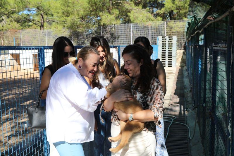 BELEDİYE SOKAK HAYVANLARINI SAHİPLENDİRMEYE DEVAM EDİYOR