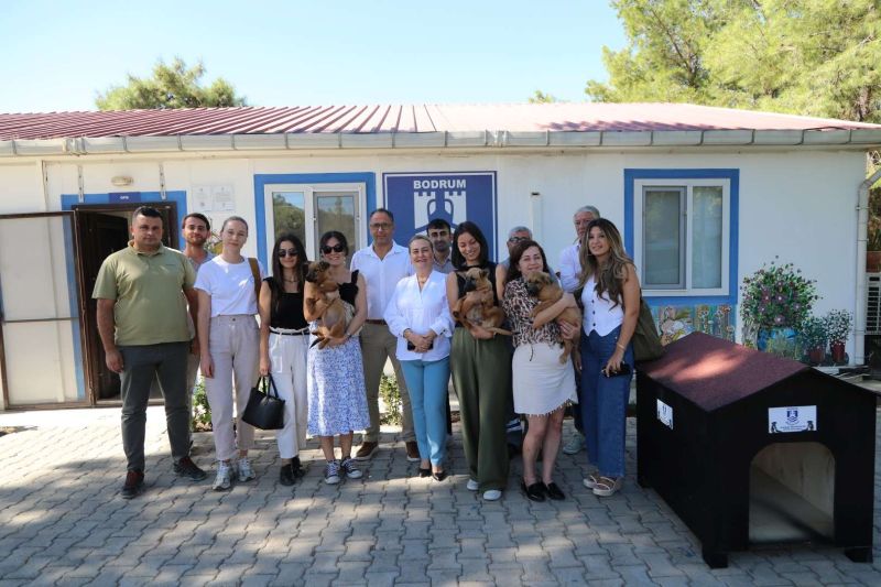 BELEDİYE SOKAK HAYVANLARINI SAHİPLENDİRMEYE DEVAM EDİYOR