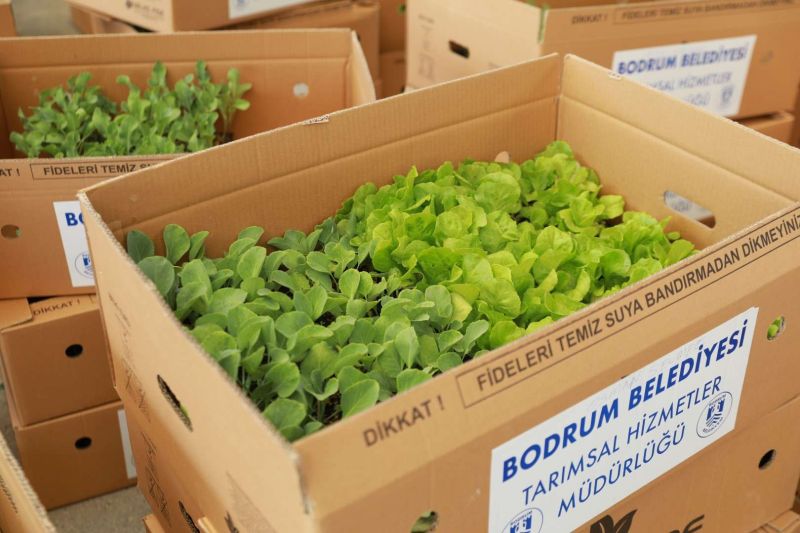 BELEDİYENİN YETİŞTİRDİĞİ FİDELER ÜRETİCİYLE BULUŞTU