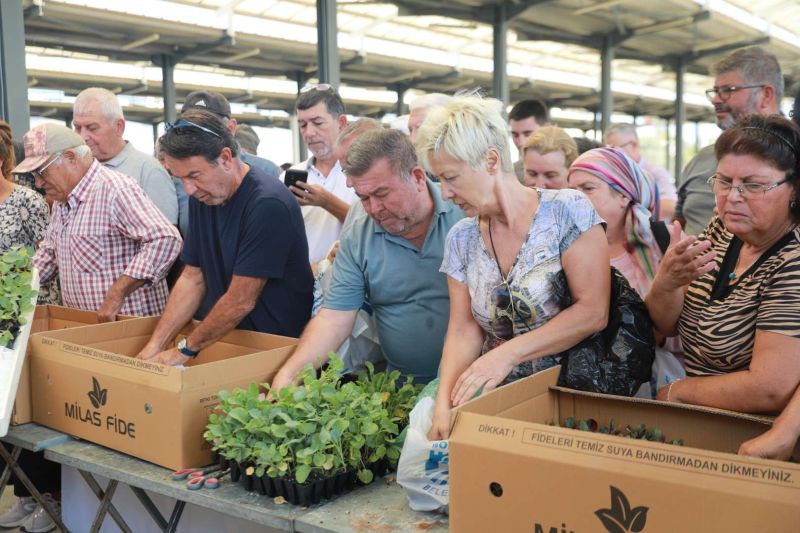 BELEDİYENİN YETİŞTİRDİĞİ FİDELER ÜRETİCİYLE BULUŞTU