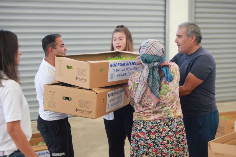 BELEDİYENİN YETİŞTİRDİĞİ FİDELER ÜRETİCİYLE BULUŞTU