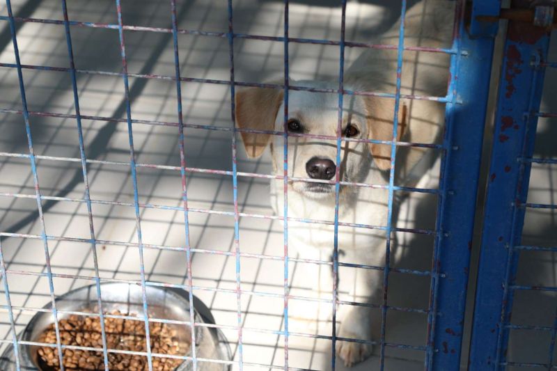 ÖĞRENCİLERDEN BAKIMEVİ ZİYARETİ