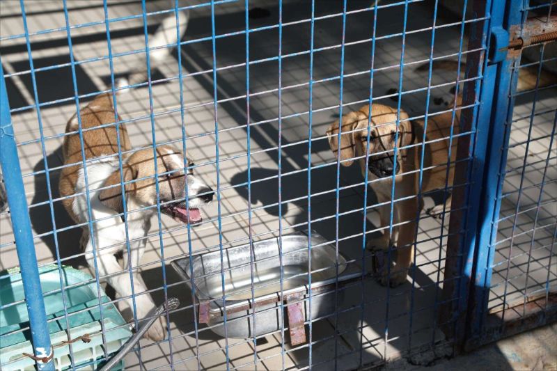 ÖĞRENCİLERDEN BAKIMEVİ ZİYARETİ