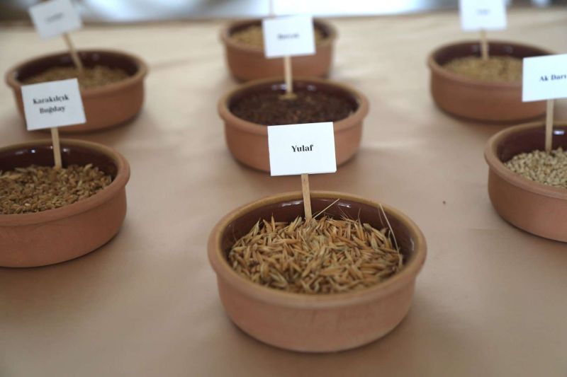 DAHA ZİNDE BİR YAŞAM İÇİN