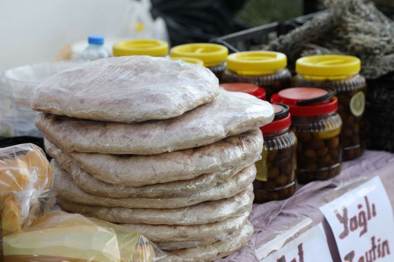 DAHA ZİNDE BİR YAŞAM İÇİN