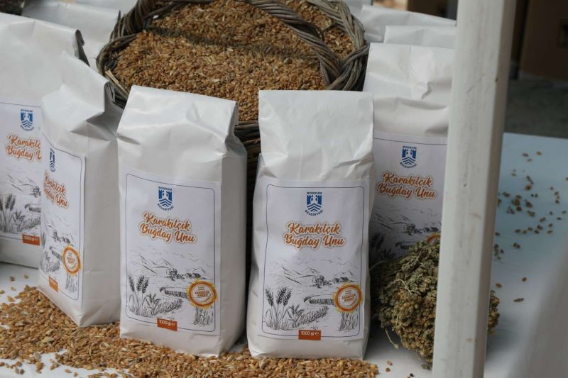 DAHA ZİNDE BİR YAŞAM İÇİN