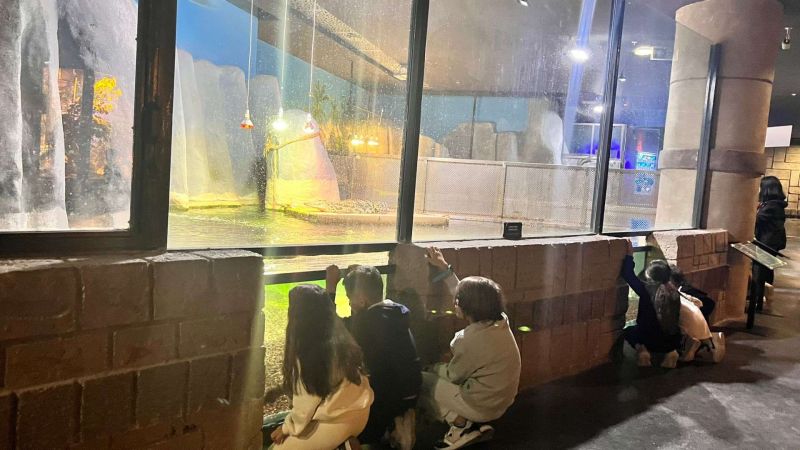 ATATÜRK’ÜN ÇOCUKLARI ANITKABİR’DE