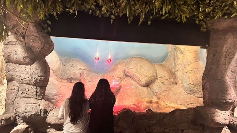 ATATÜRK’ÜN ÇOCUKLARI ANITKABİR’DE