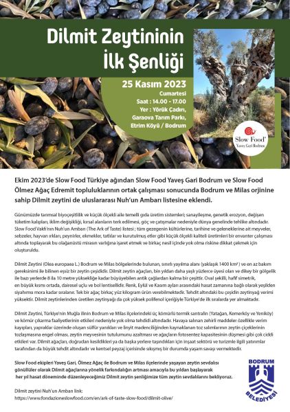 GARAOVA’DA DİLMİT ZEYTİNİ ŞENLİĞİ