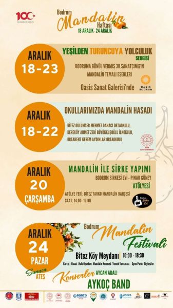 BODRUM'DA MANDALİNA TEMALI SANAT SERGİSİ