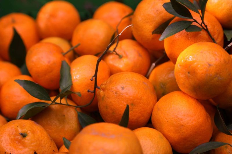 BODRUM MANDALİNİ ZİNCİR MARKETLERDE