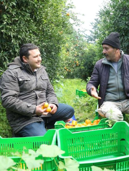 BODRUM MANDALİNİ ZİNCİR MARKETLERDE