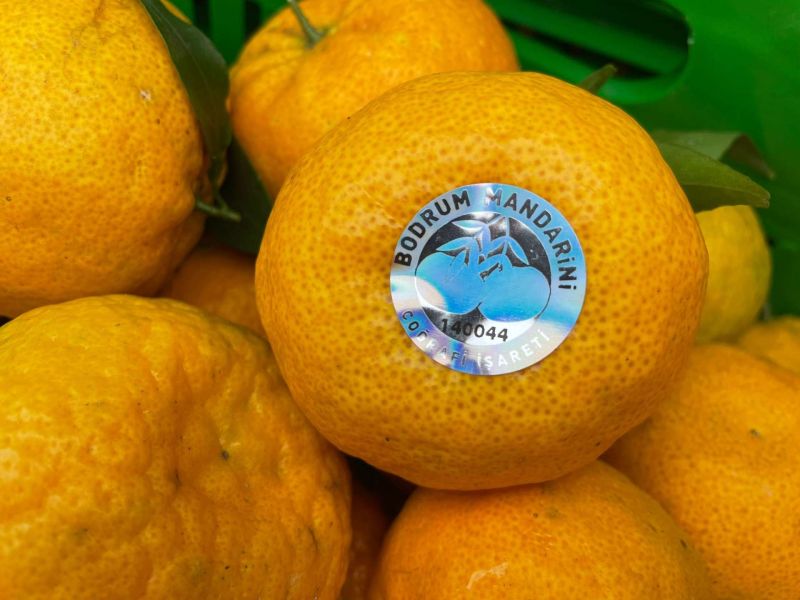 BODRUM MANDALİNİ ZİNCİR MARKETLERDE