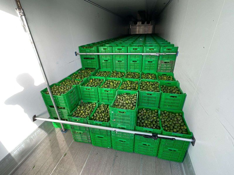 BODRUM MANDALİNİ ZİNCİR MARKETLERDE