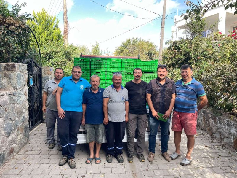 BODRUM MANDALİNİ ZİNCİR MARKETLERDE