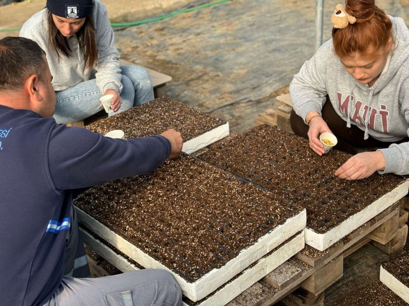 Belediyeden Atalık Tohum Ekimi