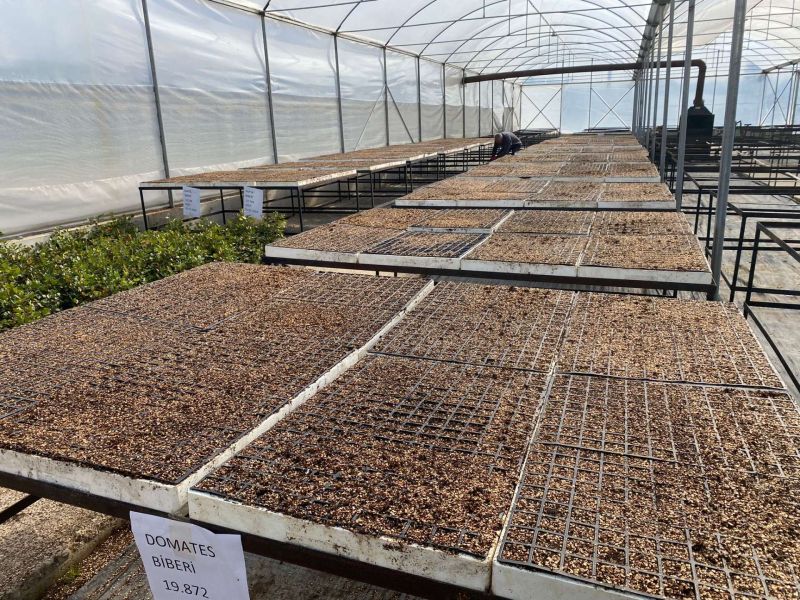 Belediyeden Atalık Tohum Ekimi