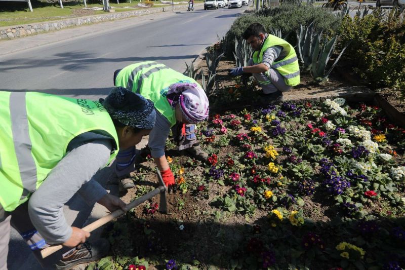 YARIMADA GENELİNDE YEŞİLLENDİRME ÇALIŞMALARI