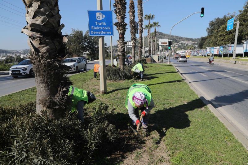 YARIMADA GENELİNDE YEŞİLLENDİRME ÇALIŞMALARI