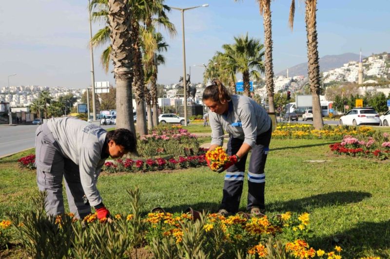 YARIMADA GENELİNDE YEŞİLLENDİRME ÇALIŞMALARI