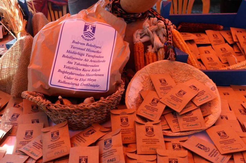 TOHUM TAKAS ŞENLİĞİ 3 MART’TA