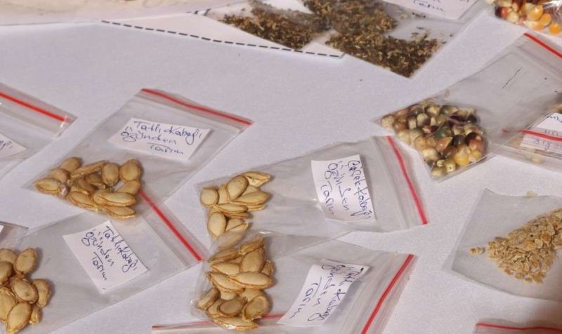 TOHUM TAKAS ŞENLİĞİ 3 MART’TA