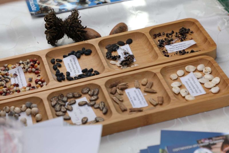 BODRUM TOHUM TAKAS ŞENLİĞİ GERÇEKLEŞTİ