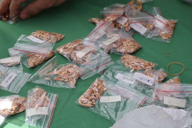 BODRUM TOHUM TAKAS ŞENLİĞİ GERÇEKLEŞTİ