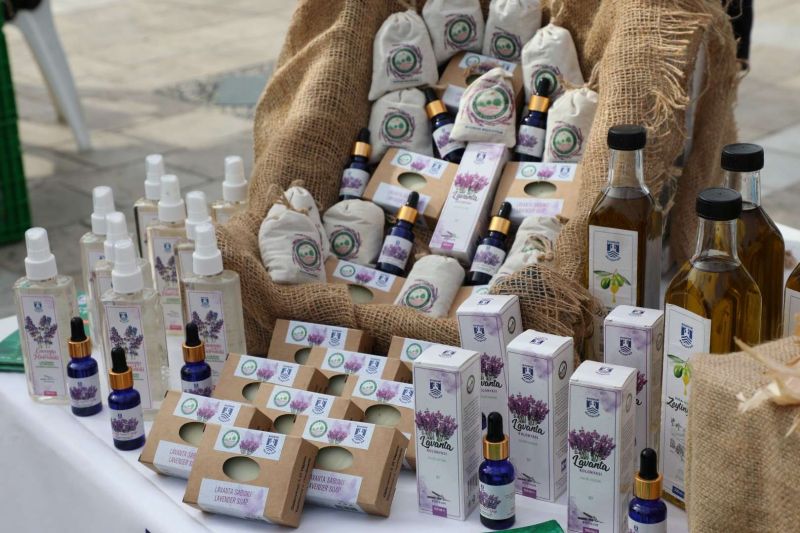 BODRUM TOHUM TAKAS ŞENLİĞİ GERÇEKLEŞTİ