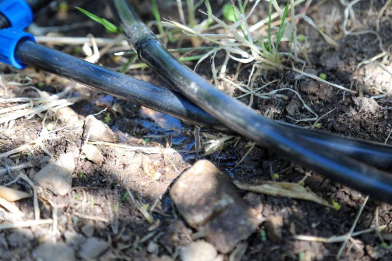 TARIMSAL ÜRETİMDE SU TASARRUFU