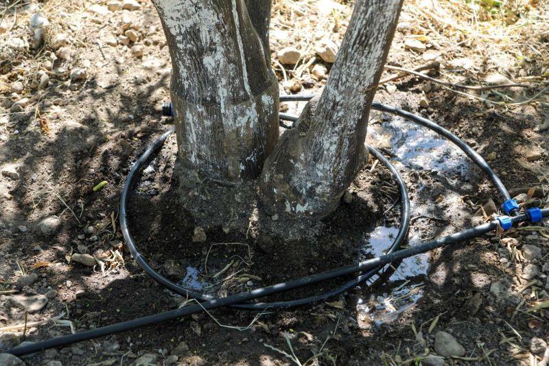 TARIMSAL ÜRETİMDE SU TASARRUFU