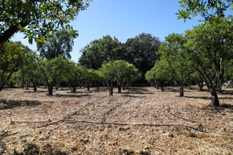 TARIMSAL ÜRETİMDE SU TASARRUFU