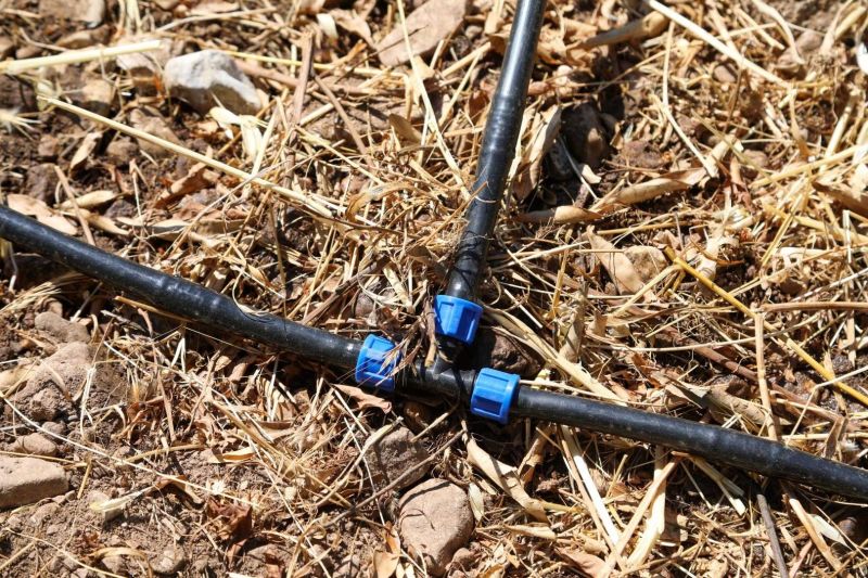 TARIMSAL ÜRETİMDE SU TASARRUFU